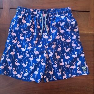 Tom & Teddy Kids Swim Trunks - Blue and Pink Flamingo Print